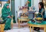 Ym Madam Chea Danyla Isteri Duta Besar Istimewa Dan Mutlak Kemboja